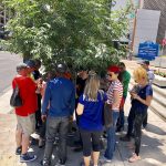 SUSI scholars huddled under a tree for shade