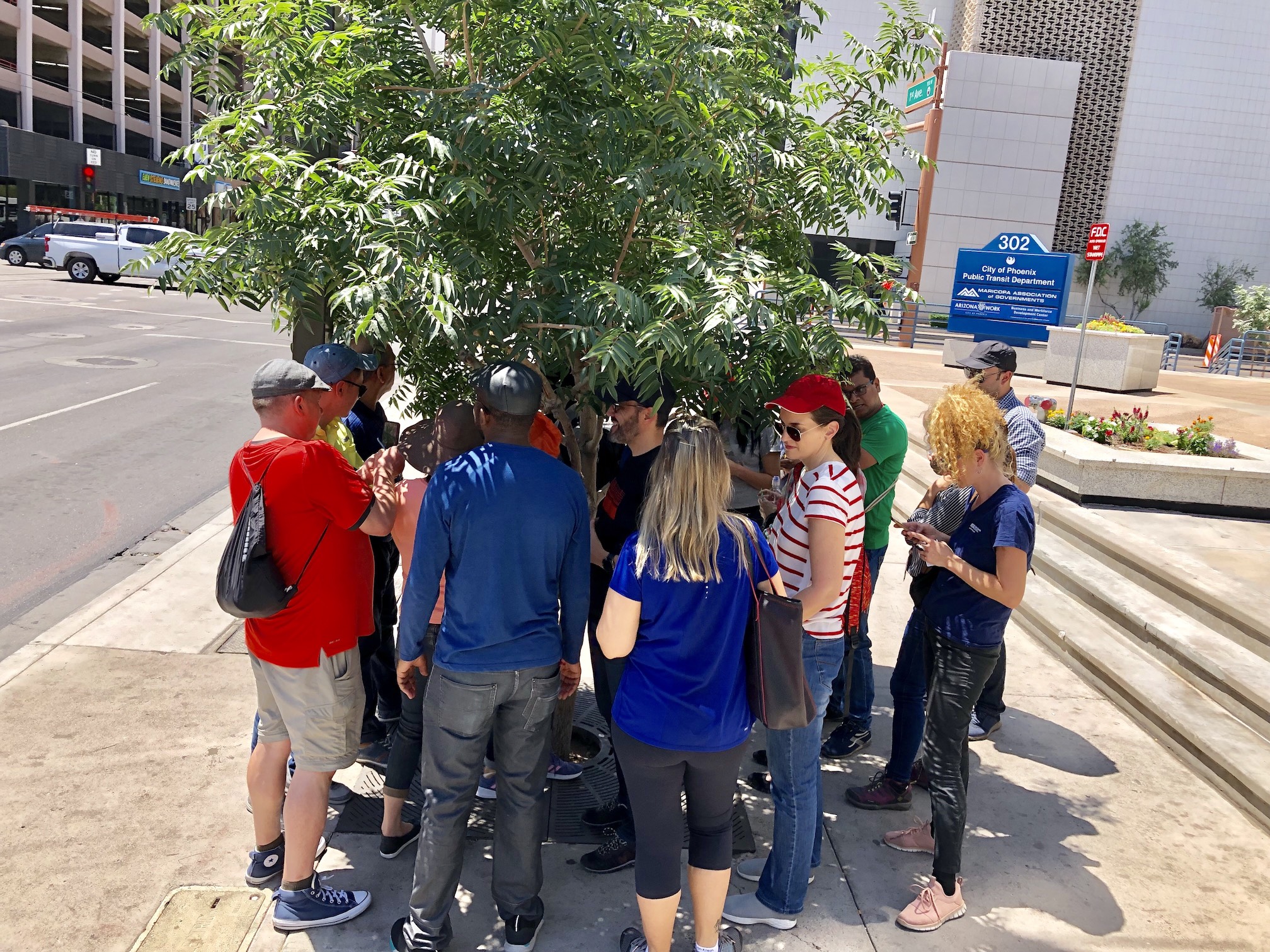 SUSI scholars huddled under a tree for shade