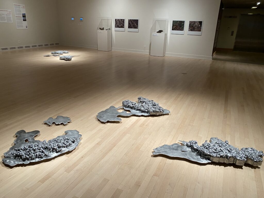 A room of the Phoenix Art Museum, with "islands" of metal on a sea of wood flooring