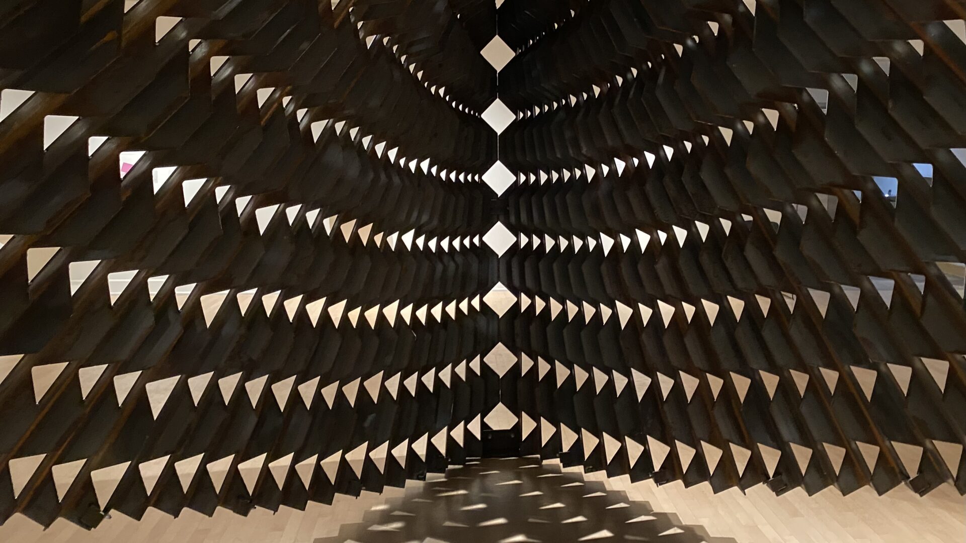 A display from the Phoenix Art Museum with an interplay of light and dark