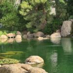 A serene pond and waterfall in the Japanese Friendship Garden, in downtown Phoenix