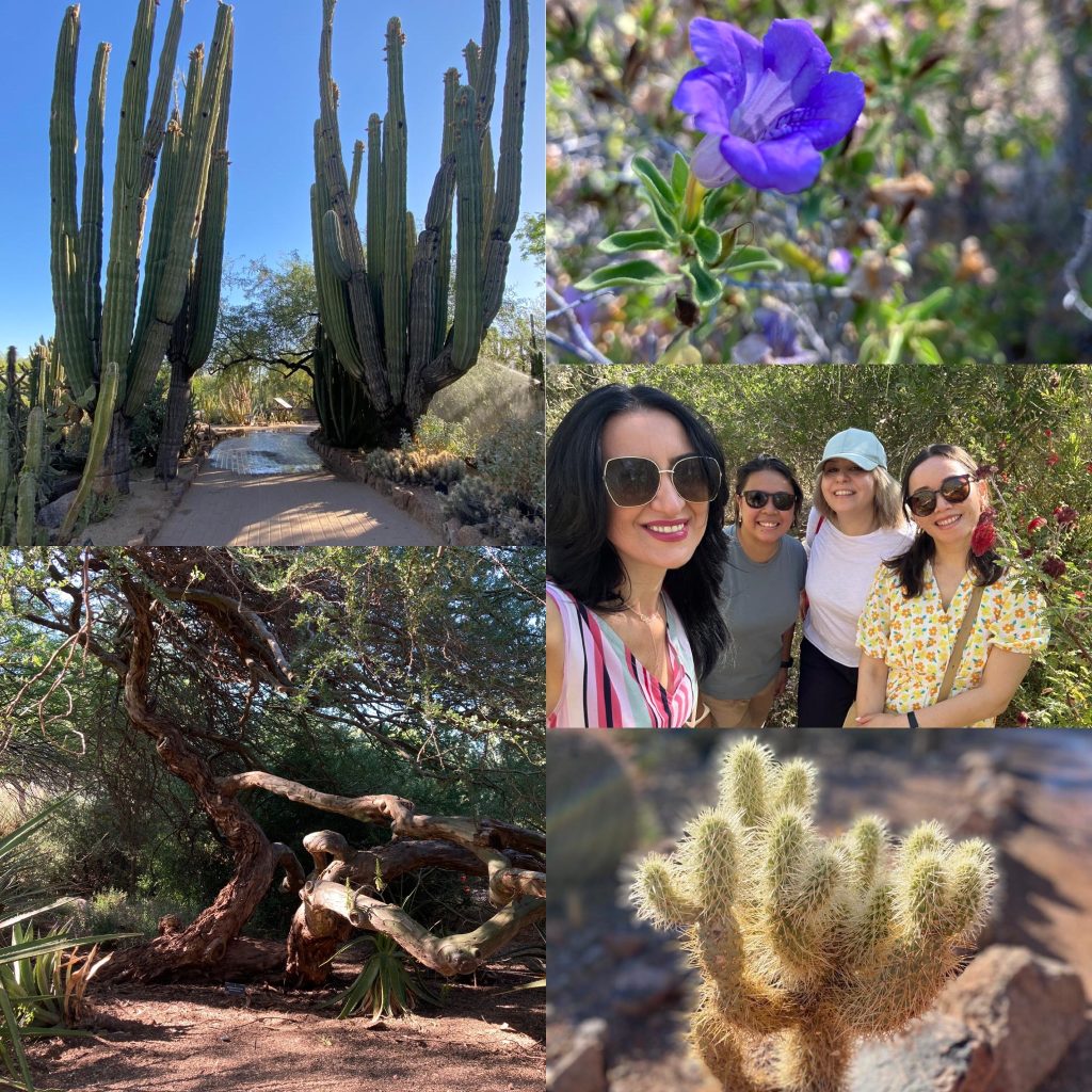 A composite of photos of four women and desert plants, from cacti to flowers, taken at the Desert Botanical Gardens